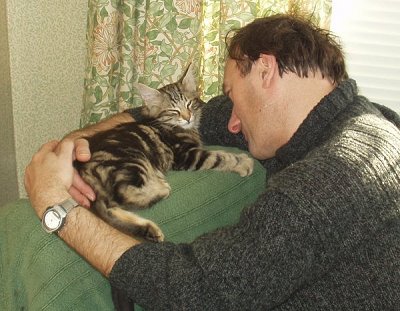 Norgeskaukatt Ingimarr